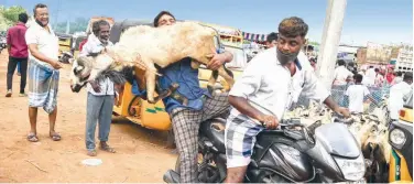  ?? Agence France-presse ?? ↑ A man carries a sacrificia­l animal sold ahead of Eid Al Adha in Chennai on Saturday.