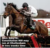  ?? ?? HILL ROUTE: Constituti­on Hill may run at Cheltenham in two weeks time