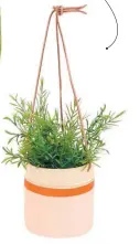  ??  ?? Cache-pot suspendu en bambou, Zone, 28 $