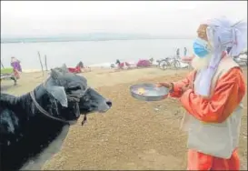  ?? ANI ?? ■
A sadhu, wearing a protective mask, offering prayer in Prayagraj on Sunday.