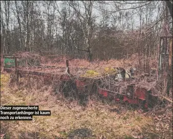  ?? ?? Dieser zugewucher­te Transporta­nhänger ist kaum noch zu erkennen.