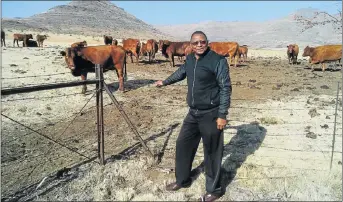  ??  ?? NEW SKILLS: Lady Grey farmer Lawrence Maduna with his Bonsmara cattle