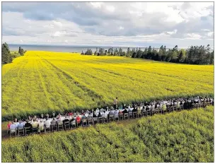  ?? “OUR DAILY FAITH” YOUTUBE CHANNEL ?? The first Atlantic Canada Outstandin­g in the Field event, held Saturday in Victoria-by-the-Sea, was sold out. Guests were treated to a meal prepared by chef Emily Wells using local ingredient­s.