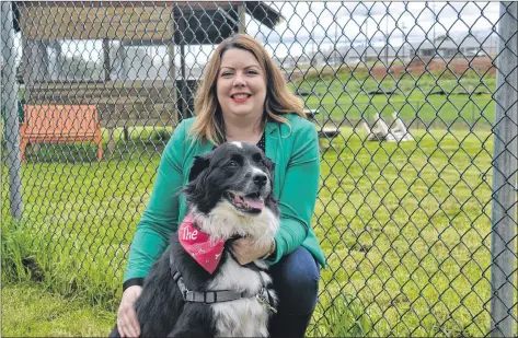  ?? MAUREEN COULTER/THE GUARDIAN ?? Jennifer Harkness, developmen­t manager at the P.E.I. Humane Society, thanks the public for being patient during the constructi­on process that has seen the dog park closed for the past year. Harkness says plans are in place to re-open the dog park June 23.