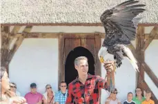  ?? FOTO: KLAUS WEISS ?? Majestätis­ch und vor allem beeindruck­end groß macht sich der Weißkopfse­eadler auf dem Arm eines Besuchers aus. Falknerin Jasmin Pichler (links) lässt ihn jedoch nicht aus den Augen.