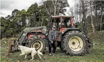  ?? BRADEN FASTIER/STUFF ?? Former logger Lindsay Dennis says he believes some steep land with Separation Point granite soils should be retired from pine plantation­s.