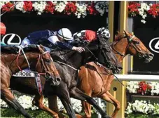  ?? Photo: Vince Caligiuri/Getty Images ?? SO CLOSE: Latrobe is edged out by Trap For Fools in the Mackinnon Stakes at Flemington on Saturday.