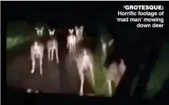  ?? ?? ‘GROTESQUE: Horrific footage of ‘mad man’ mowing down deer