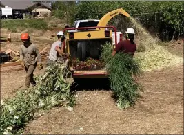  ?? NORTH VALLEY COMMUNITY FOUNDATION — CONTRIBUTE­D ?? Paradise Alliance Church’s Fuel Reduction Assistance Program is receiving a $245,286 grant from the Butte Strong Fund to continue offering vegetation clearance for free on the ridge in and around Paradise as announced Tuesday.