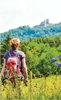  ?? Foto: Christine King ?? Irgendwo taucht fast immer eine Burg auf, wenn man in Luxemburgs Norden wan dert. Das Foto zeigt Burg Borurschei­d.