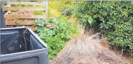  ??  ?? Dumped vegetation and compost bins along the DoC-owned Whangamata¯ Stream Reserve.