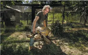  ?? Paul Kuroda / Special to The Chronicle ?? Starfinder Stanley, veterinari­an and son of the late Owsley “Bear” Stanley, shows off his tortoise, Sherman, at his home.