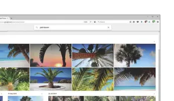  ??  ?? De AI van Google herkent redelijk betrouwbaa­r palmbomen in allerlei maten en vormen.
