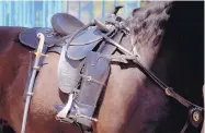  ??  ?? Riderless Albuquerqu­e police horse Justice carries a symbolic fallen officer, whose boots face toward other officers during the 2018 Law Enforcemen­t Memorial on Civic Plaza on Friday. Symbolical­ly, the fallen officers can look back at fellow officers...