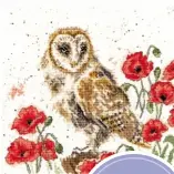  ??  ?? Owl lyn1279