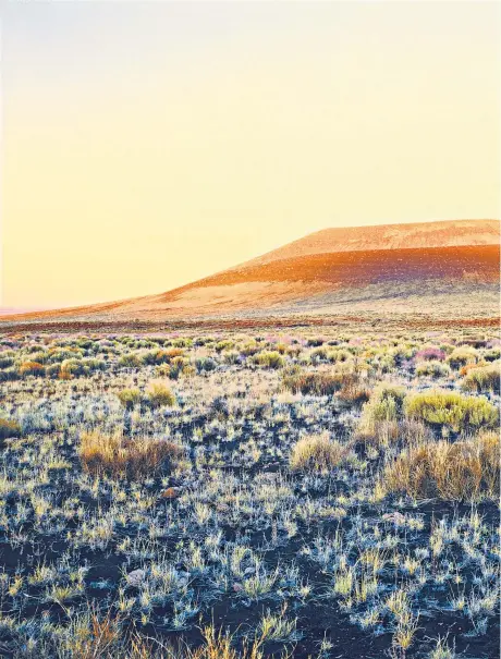  ??  ?? ‘ALMOST NO-ONE LOOKS UP’ Roden Crater; James Turrell, left; a Frieze LA booth, top left; Crater’s Eye