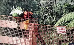  ?? DAVID WHITE/STUFF ?? People left flowers at the entrance to Abbey Caves, where a rahui prevents anyone going further.
Northland district commander Superinten­dent Tony Hill said the investigat­ion into what occurred in the Abbey Caves will be robust and thorough.