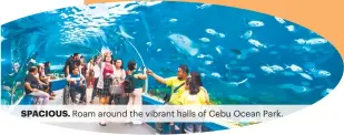  ?? ?? SPACIOUS. Roam around the vibrant halls of Cebu Ocean Park.