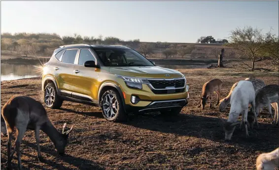  ?? PHOTOS COURTESY KIA ?? The 2021Kia Seltos is an entry-level crossover with a pleasant and quiet ride.