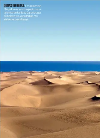  ??  ?? DUNAS INFINITAS. Las Dunas de Maspalomas es un espacio natural único en las Islas Canarias por su belleza y la variedad de ecosistema­s que alberga.