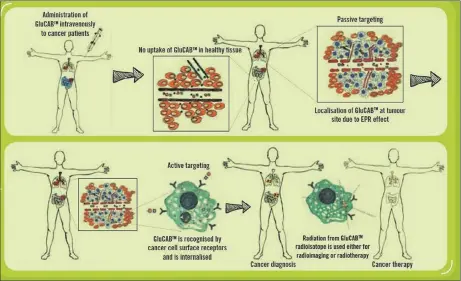  ?? Graph: BGM Pharma ?? A FIRST FOR SA: Biotechnol­ogy company BGM Pharma has entered into a landmark partnershi­p with the SA Nuclear Energy Corporatio­n and the University of Cape Town to bring GluCABTM, a new theranosti­c, to market. A first for South Africa, it’s a...