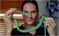  ?? AFP ?? Steve Ludwin handles a Pope’s Pit Viper at his apartment in Kennington, south London. —