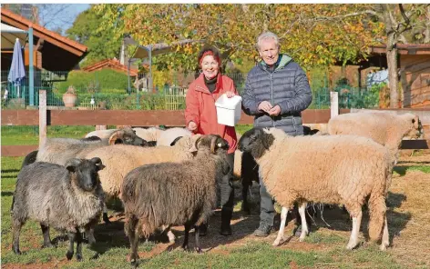  ?? FOTO: ANDREAS SCHLICHTER ?? Die 52 Tiere, die bei Jutta und Lothar Braun in Eiweiler ein Zuhause gefunden haben, sind vor allem kleine Nutztiere wie Ziegen und Schafe.