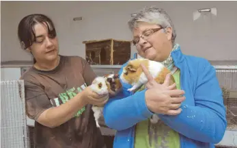  ?? FOTO: SABINE KRAUSS ?? Zeljka Ferencak (links) und Birgit Ströhle vom Tuttlinger Tierheim freuen sich, dass es den in Nendingen ausgesetzt­en Meerschwei­nchen und Kaninchen schon wieder besser geht.