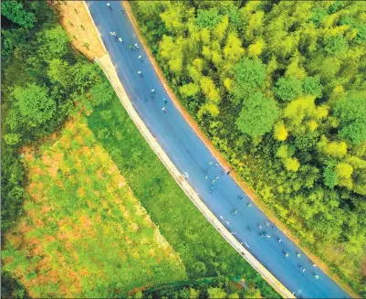  ?? XU YU / XINHUA ?? Bamboo forests in Anji, Zhejiang province, provide the background for a springtime footrace in April. People living in Nigeria might soon be able to use advanced technology to grow bamboo to deal with rising sea levels.