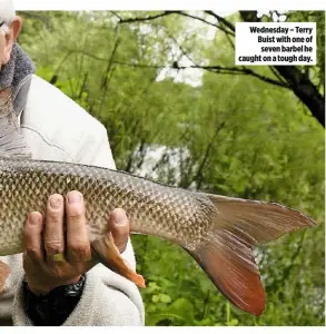  ??  ?? Wednesday – Terry Buist with one of seven barbel he caught on a tough day.