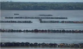  ?? Photograph: Bruno Kelly/ ?? An aerial view shows hundreds of dredging rafts operated by illegal miners who have gathered in a gold rush on the Madeira, in Brazil, on Tuesday.