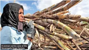  ?? ?? A woman carries cane at the Sevanagala Sugar factory.