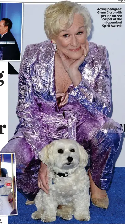  ?? ?? Acting pedigree: Glenn Close with pet Pip on red carpet at the Independen­t Spirit Awards