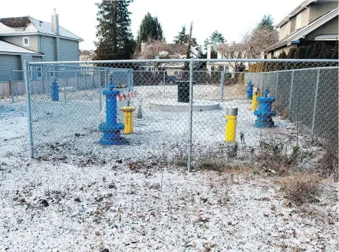  ?? MIKE BELL/PNG FILES ?? The empty lot at 7084 Beechwood St. is dotted with hydrant-like structures. They’re caps on the illegal breach of a massive aquifer on the residentia­l constructi­on site in the Kerrisdale neighbourh­ood.