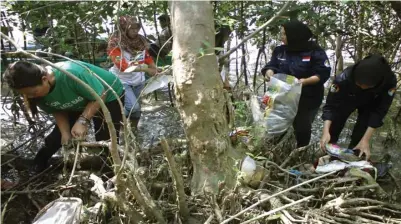  ?? ROBERT RISKY/JAWA POS ?? BANYAK PLASTIK DAN POPOK: Anggota Komunitas Nol Sampah mengambili sampah di Ekowisata Mangrove Wonorejo kemarin.