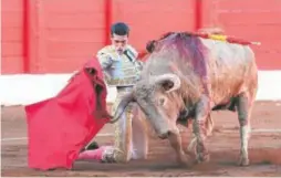  ?? // S. ARCE ?? Alejandro Talavante, en un intenso inicio de rodillas