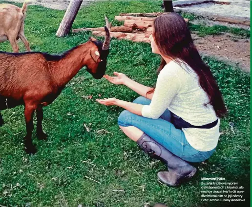  ?? ?? Milovnice zvířat
Zuzana Andělová vypráví o zkušenoste­ch z kravínů, ale nechce ukázat tvář kvůli agresivním reakcím na její názory. Foto: archiv Zuzany Andělové