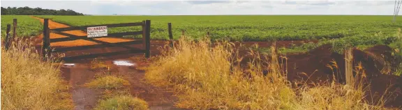  ??  ?? Lush, green crops cover farmland in Mato Grosso do Sul near Dourados. Brazil is one of the world’s largest producers of agricultur­al goods — and one of the largest consumers of pesticides.