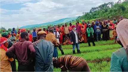  ?? ?? Hu Shuangquan (center) carries out an on-site training on growing rice seedlings in Karusi Province on December 28, 2021