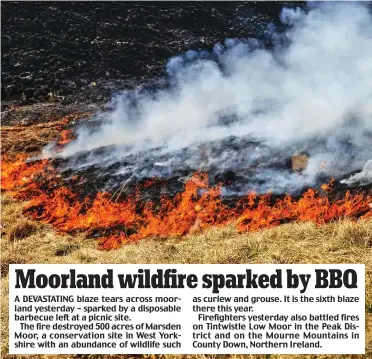  ??  ?? A DEVASTATIN­G blaze tears across moorland yesterday – sparked by a disposable barbecue left at a picnic site.
The fire destroyed 500 acres of Marsden Moor, a conservati­on site in West Yorkshire with an abundance of wildlife such