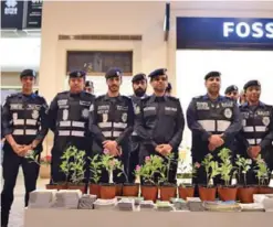  ??  ?? KUWAIT: The Interior Ministry’s Environmen­tal Police Department participat­ed in an environmen­tal function held recently at the Avenues Mall, where policemen distribute­d seedlings and other gifts to shoppers.