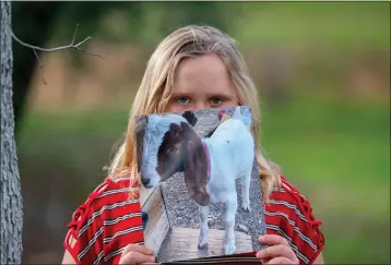  ?? LEZLIE STERLING — THE SACRAMENTO BEE ?? Jessica Long’s daughter holds a photo of Cedar, the goat she raised that was auctioned in the Shasta County Fair before her family had a change of heart and took him back.