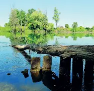  ??  ?? Il fiume Un tratto dell’Adda a Cavenago. La Provincia di Lodi lancia il progetto per risanare il tratto meridional­e del fiume