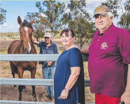  ?? Picture: JERAD WILLIAMS ?? Diane and George Mills, with a So You Think yearling being handled by Darryl Feltham.