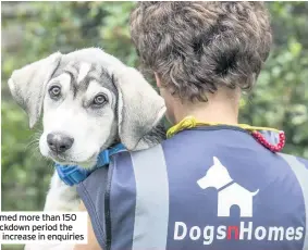  ?? ?? DogsnHomes has re-homed more than 150 dogs. During the first lockdown period the charity saw a three-fold increase in enquiries