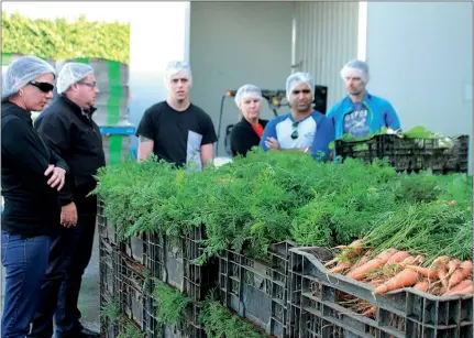  ??  ?? Local chefs check out the freshly-picked produce.