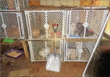  ?? COURTESY PHOTO ?? These cages were used to keep cats in a home in West Whiteland. Some cats also were kept in airport carry-on containers. The cats were seized by the SPCA.