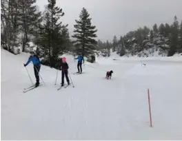  ?? FOTO: JONAS MJAALAND ?? På Bortelid er det null grader og hardt i sporet på fredag. Det er likevel fortsatt bra med snø og nykjøpte løyper.