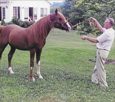  ??  ?? Richard Miller, a psychologi­st who believed that horses can be a part of a patient's therapy, is seen with one of his Arabians on his farm in Forward, Butler County. In 1999, he joined the board of directors for Riding for the Handicappe­d of Western Pennsylvan­ia, a local nonprofit that provides equine-assisted therapy for disabled children and adults.