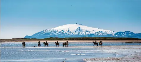  ?? Foto: Ragnar Th. Sigurdsson/Íslandssto­fa/dpa ?? Island ist für seine Gletscher, seine Vulkane und auch seine besonderen Pferde bekannt.